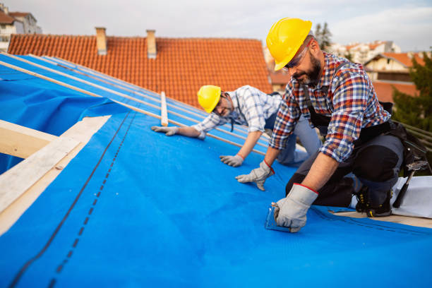Best Metal Roofing Contractor  in Eagle River, WI